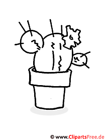 Cactus coloring page, picture for coloring