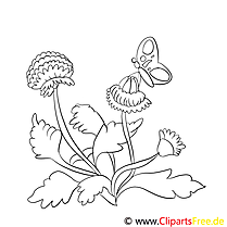 Clover coloring page for free