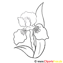Coloring page flower for coloring