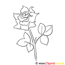Rose coloring page free