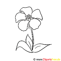 Beautiful flower coloring page for free