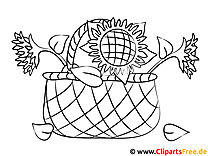 Sunflower coloring pages for free