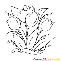 Tulpen Malvorlage gratis
