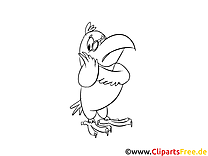 Cartoon Papagei Malvorlage kostenlos