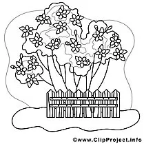 Coloring picture garden