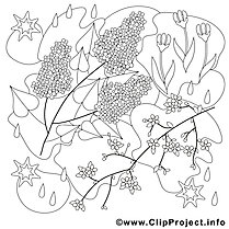 Coloring picture Purple flowers