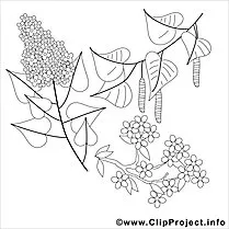 Imagen de hojas de árbol para colorear, página para colorear