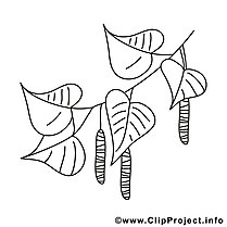 Birch Leaves - Spring Coloring Pages