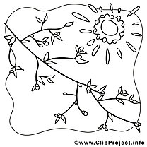 Birch branch and sun picture for coloring, coloring page