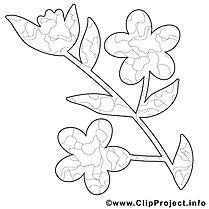 Flower picture for coloring, coloring page
