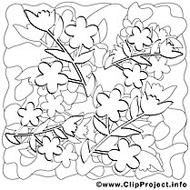 Flowers coloring picture