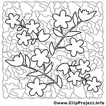Flowers picture to paint