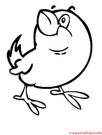 Spring coloring page chick