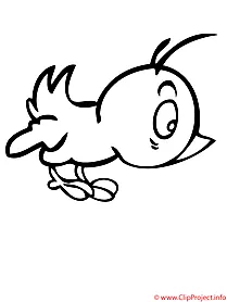 Spring chick coloring page