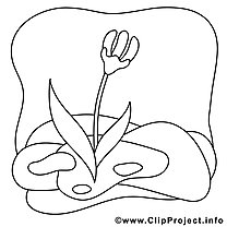Tulip picture for coloring, coloring page