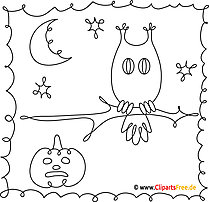Owl coloring page free