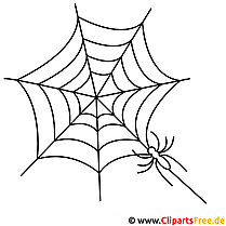 Free Printable Spider Coloring Page