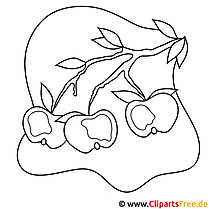 Apples Picture - Autumn coloring pages for free