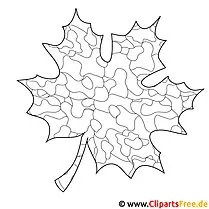 Maple leaf JPG image - autumn coloring page to print