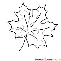 Maple leaf coloring page for free