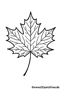 Ahornblatt Malvorlage herunterladen als PDF