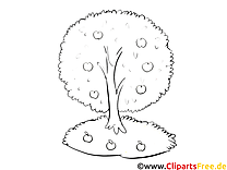 Apple tree in the garden - free coloring pages Autumn