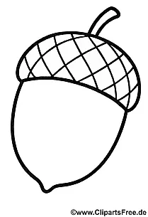 Ausmalbild Eichel herunterladen als PDF