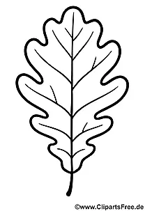 Ausmalbild Eichenblatt herunterladen als PDF