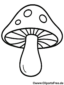 Ausmalbild Fliegenpilz herunterladen als PDF