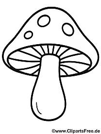 Ausmalbild Fliegenpilz herunterladen als PDF