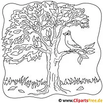 가을 나무 그림 - 무료 색칠 공부 페이지