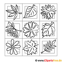 Tree leaves coloring page for coloring