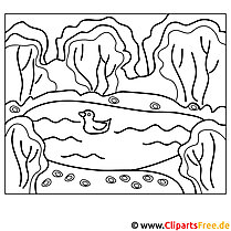 池塘里的鸭子着色页