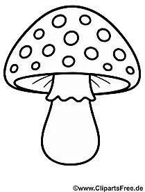 Fliegenpilz Malvorlage herunterladen als PDF