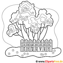 Garden coloring page free