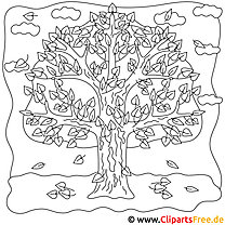 Autumn coloring picture for free - tree picture
