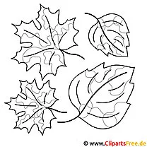 無料の秋のぬりえ-カエデの葉、白樺の葉