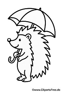 Igel mit Regenschirm Malvorlage herunterladen als PDF