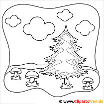 Fir coloring page - autumn picture for coloring