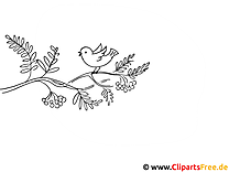 Pájaro en rama Dibujos para colorear gratis