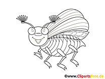 Böcek boyama sayfası hayvanlar