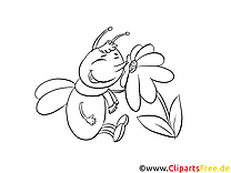 Käfer und Blume Malvorlage