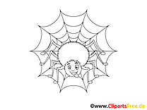 Spinne und Spinnennetz Malvorlage
