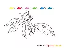 Лист за оцветяване с боя за цветя по номера за отпечатване