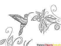 Coloring picture for adults bird, fauna