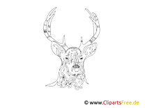 Deer coloring pages for adults