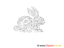 Rabbit, hare coloring picture for adult animals