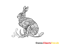 Página para colorir para coelho adulto, coelho, animal