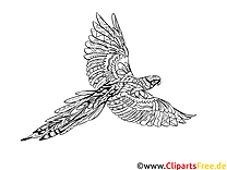 Coloring page for adult bird