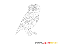 Eagle owl, owl coloring page for adults